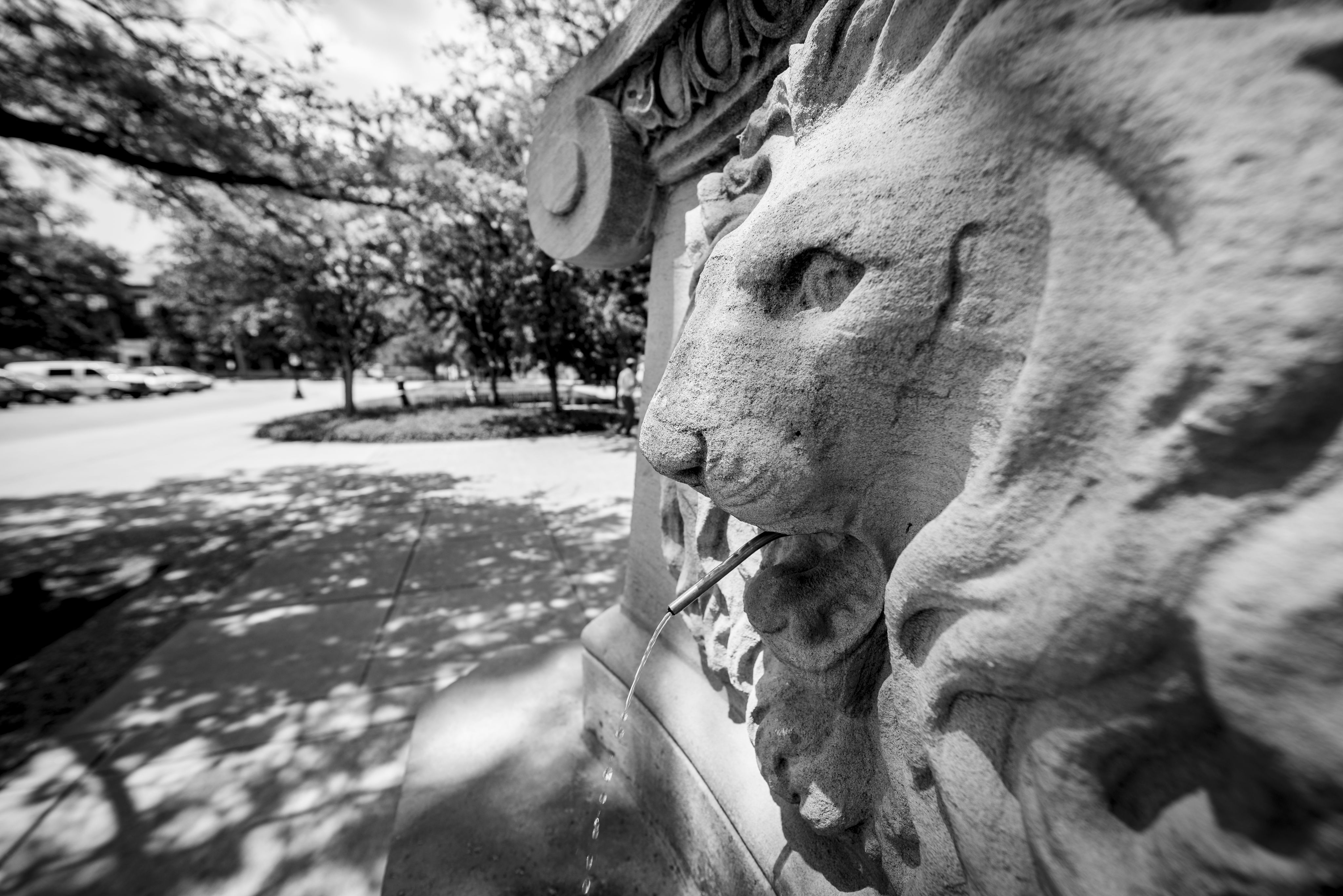 The image shows the Stone Lions Fountain on campus