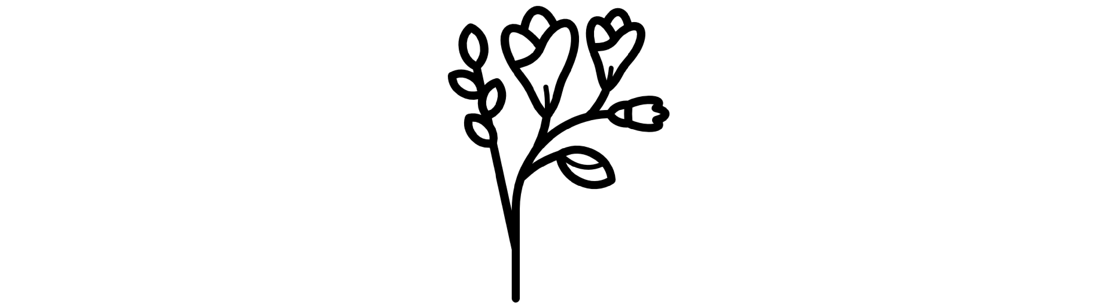 The image shows an illustration of flowers