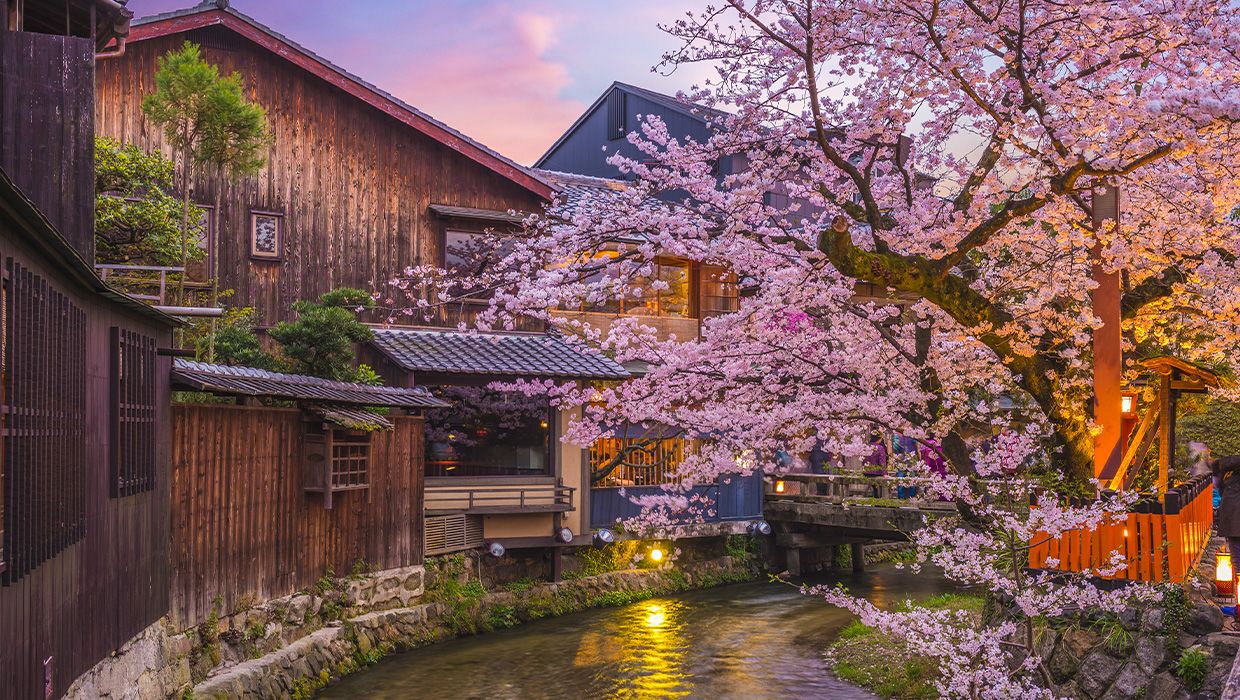 Night view of Shirakawa River in Gion, Kyoto, Japan